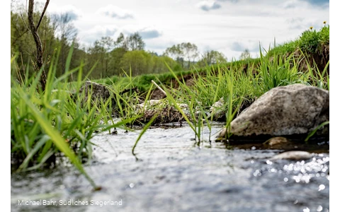 Der Wetterbach in Holzhausen